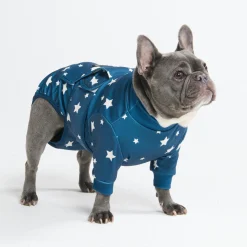 Dog Surgical Suit - Stars