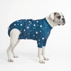 Dog Surgical Suit - Stars