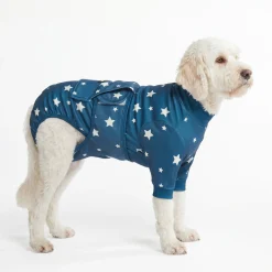 Dog Surgical Suit - Stars