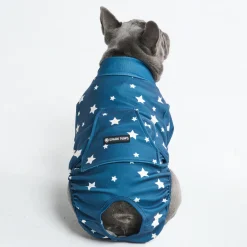 Dog Surgical Suit - Stars