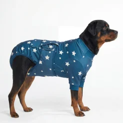 Dog Surgical Suit - Stars