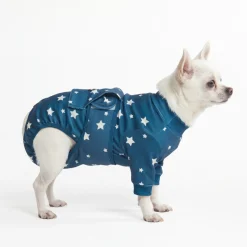 Dog Surgical Suit - Stars