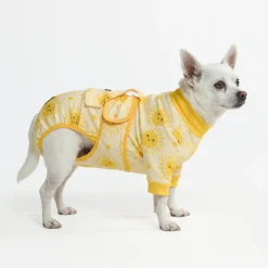 Dog Surgical Suit - Sunshine