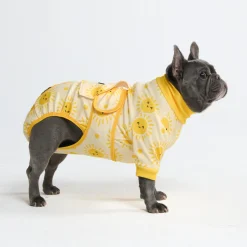 Dog Surgical Suit - Sunshine