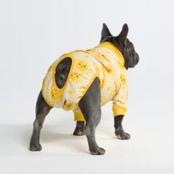 Dog Surgical Suit - Sunshine