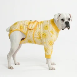 Dog Surgical Suit - Sunshine