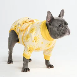 Dog Surgical Suit - Sunshine