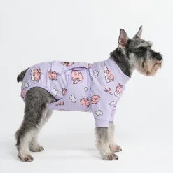 Dog Surgical Suit - When Pigs Fly