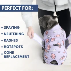 Dog Surgical Suit - When Pigs Fly