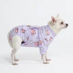 Dog Surgical Suit - When Pigs Fly