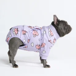 Dog Surgical Suit - When Pigs Fly