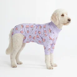 Dog Surgical Suit - When Pigs Fly