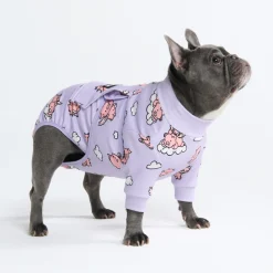 Dog Surgical Suit - When Pigs Fly
