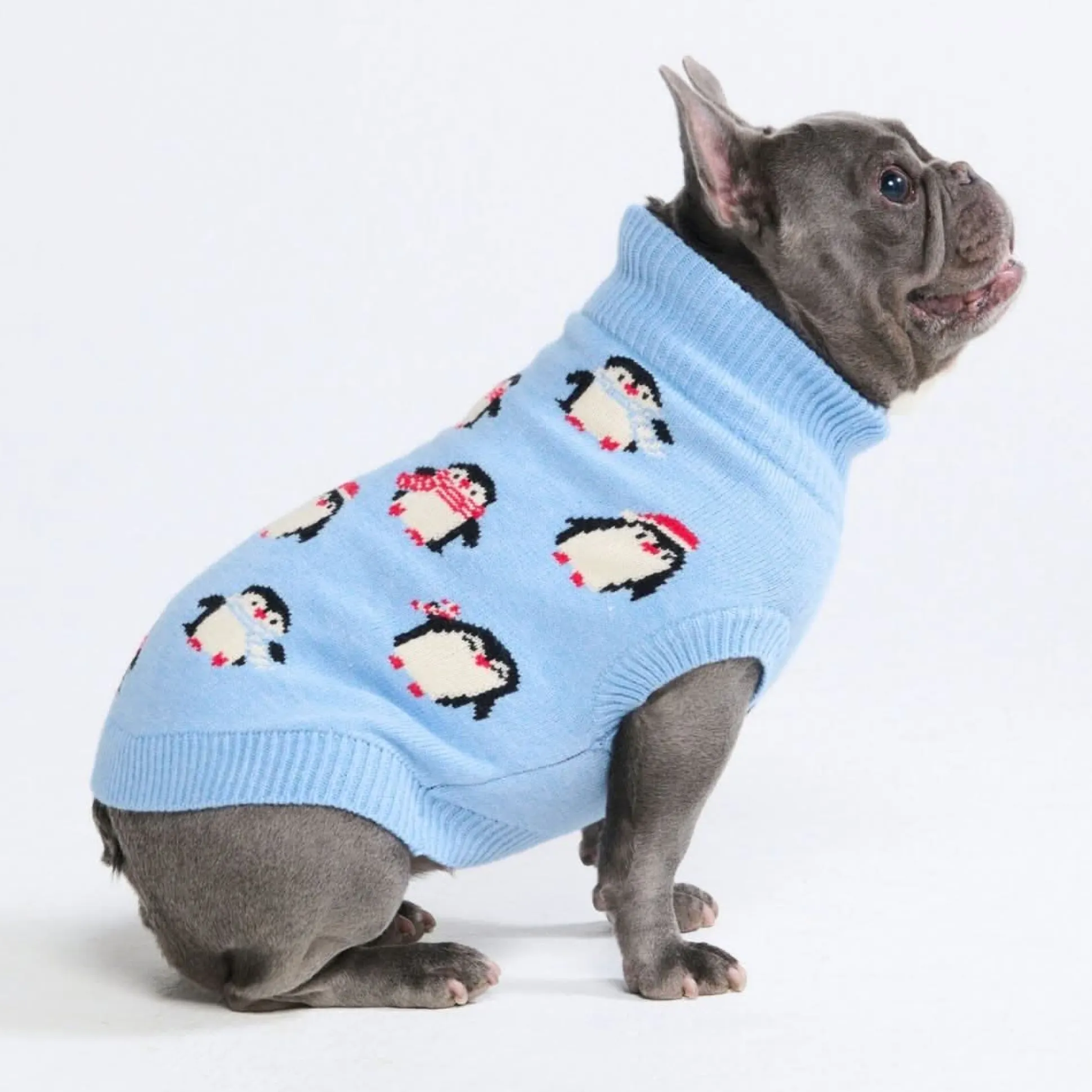 Dog Sweater - Penguins