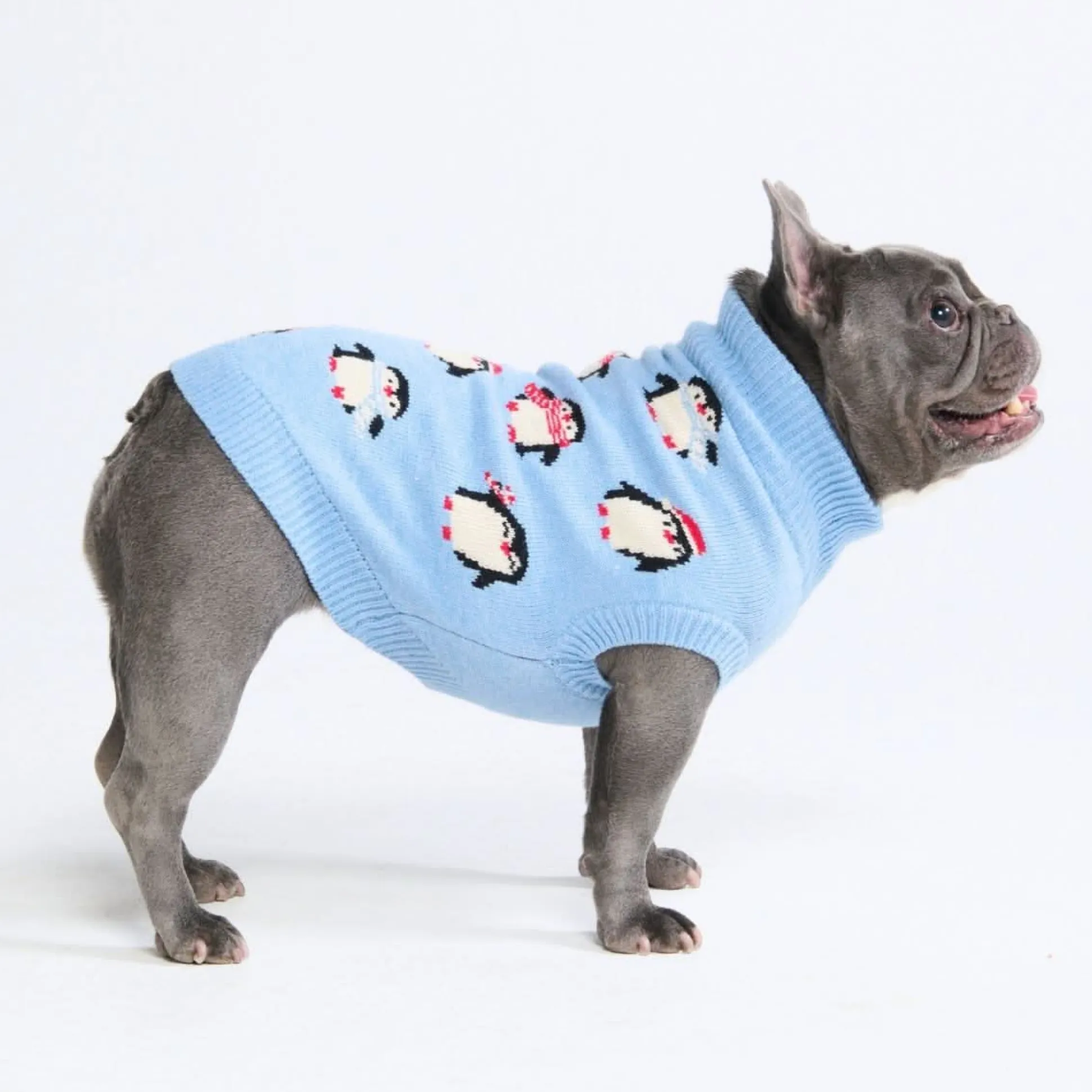 Dog Sweater - Penguins