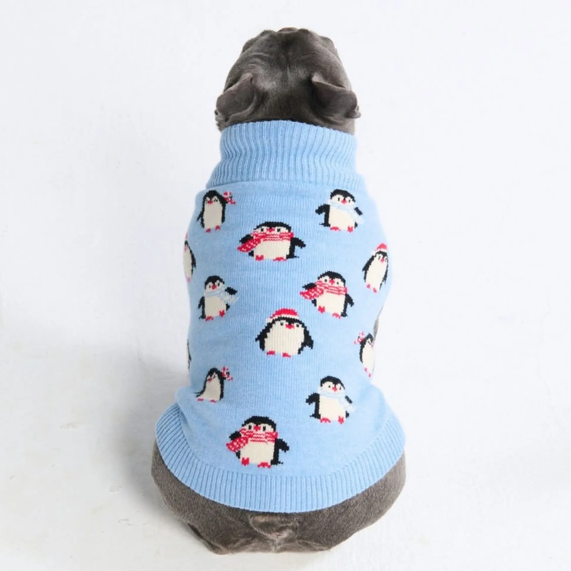 Dog Sweater - Penguins