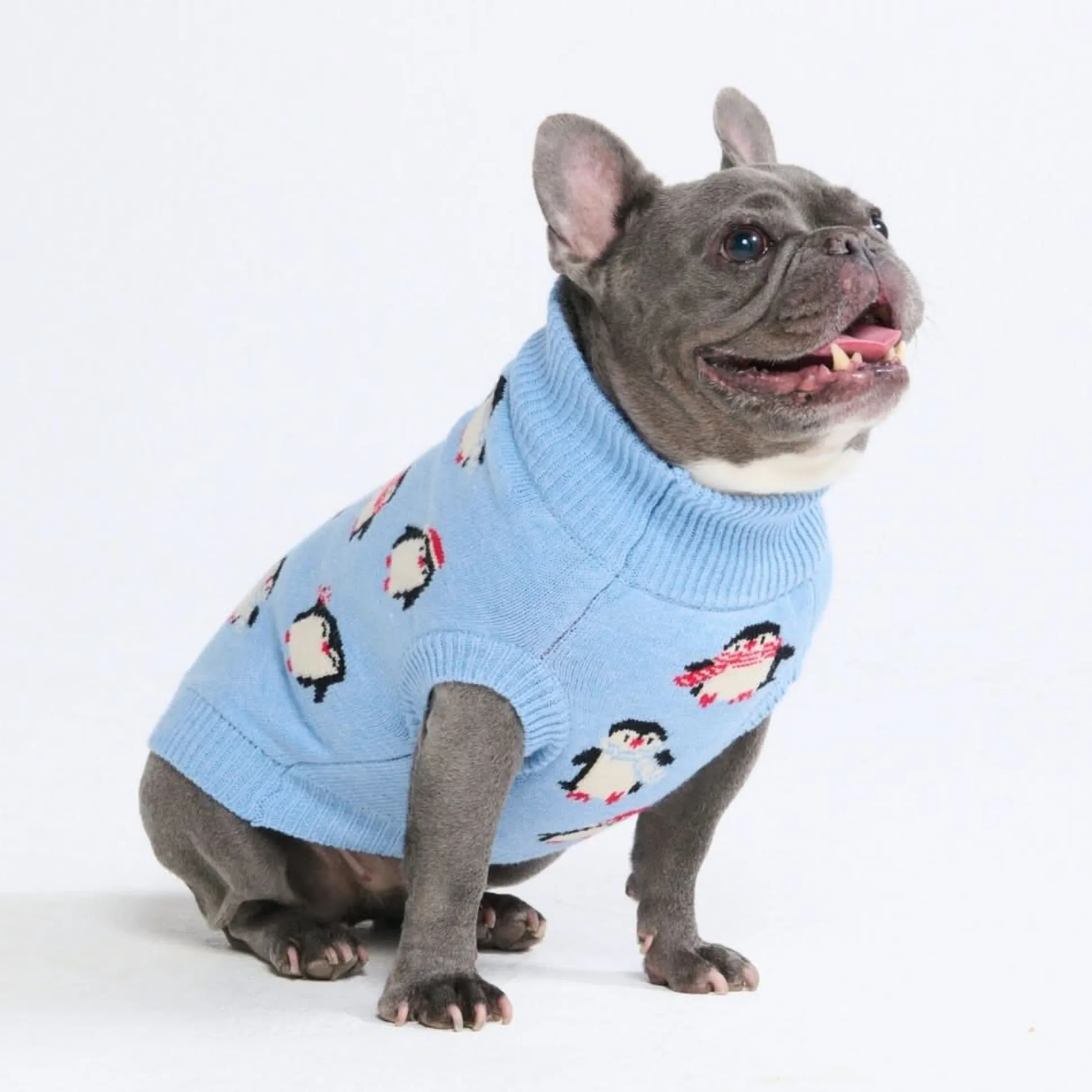 Dog Sweater - Penguins