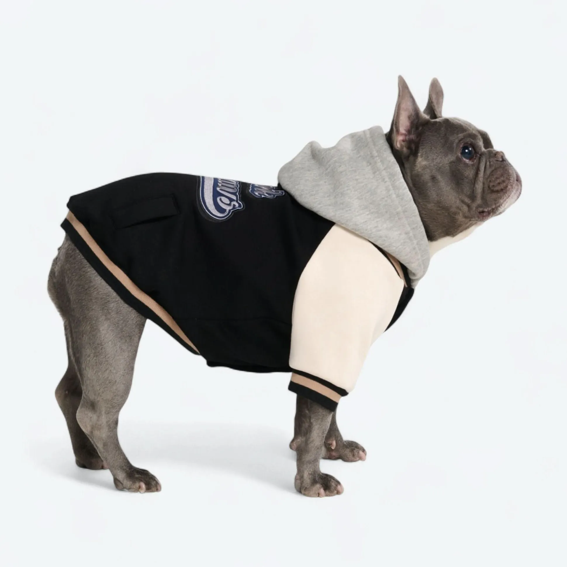 Dog Varsity Jacket - Black