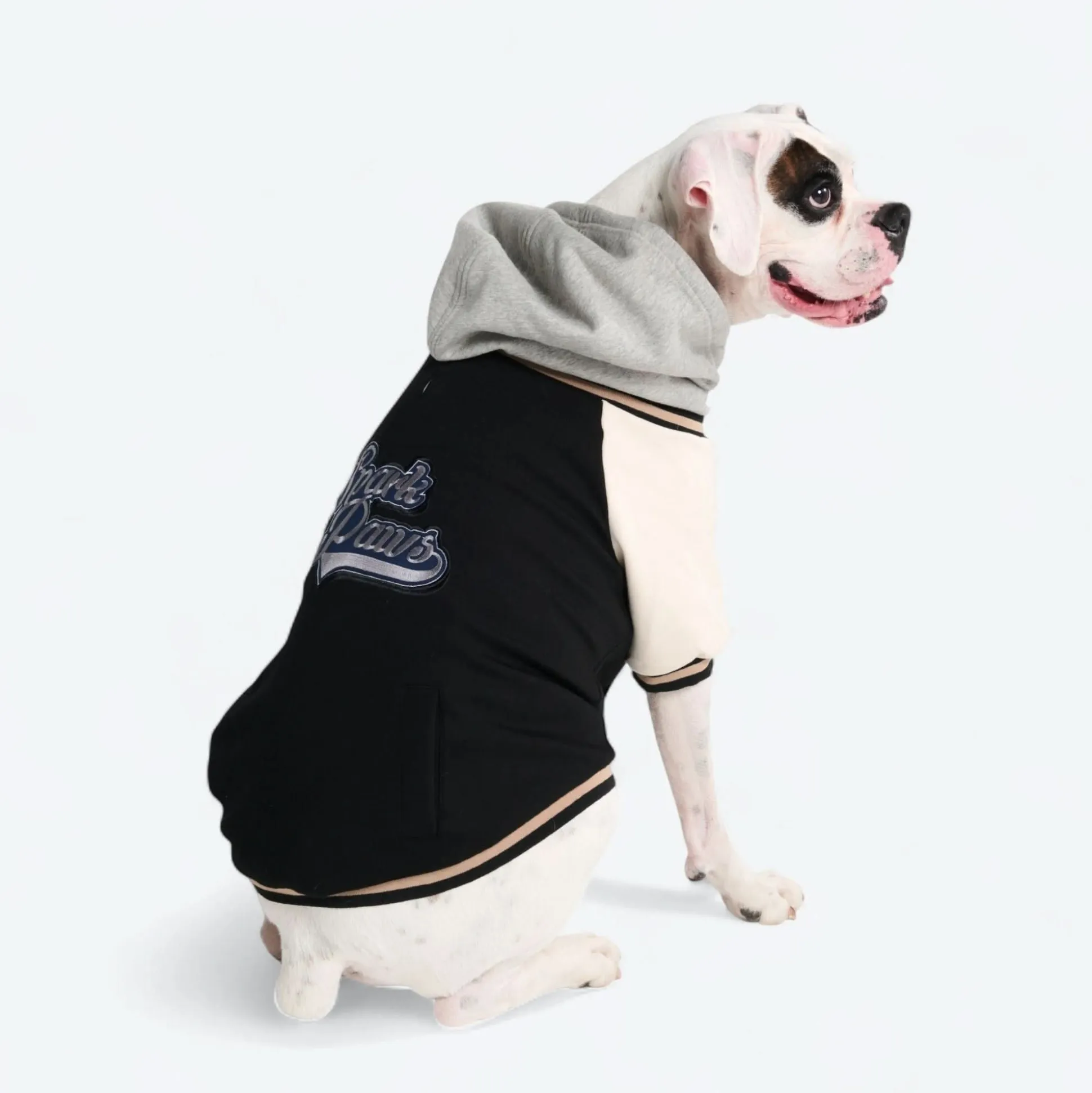 Dog Varsity Jacket - Black