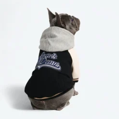 Dog Varsity Jacket - Black