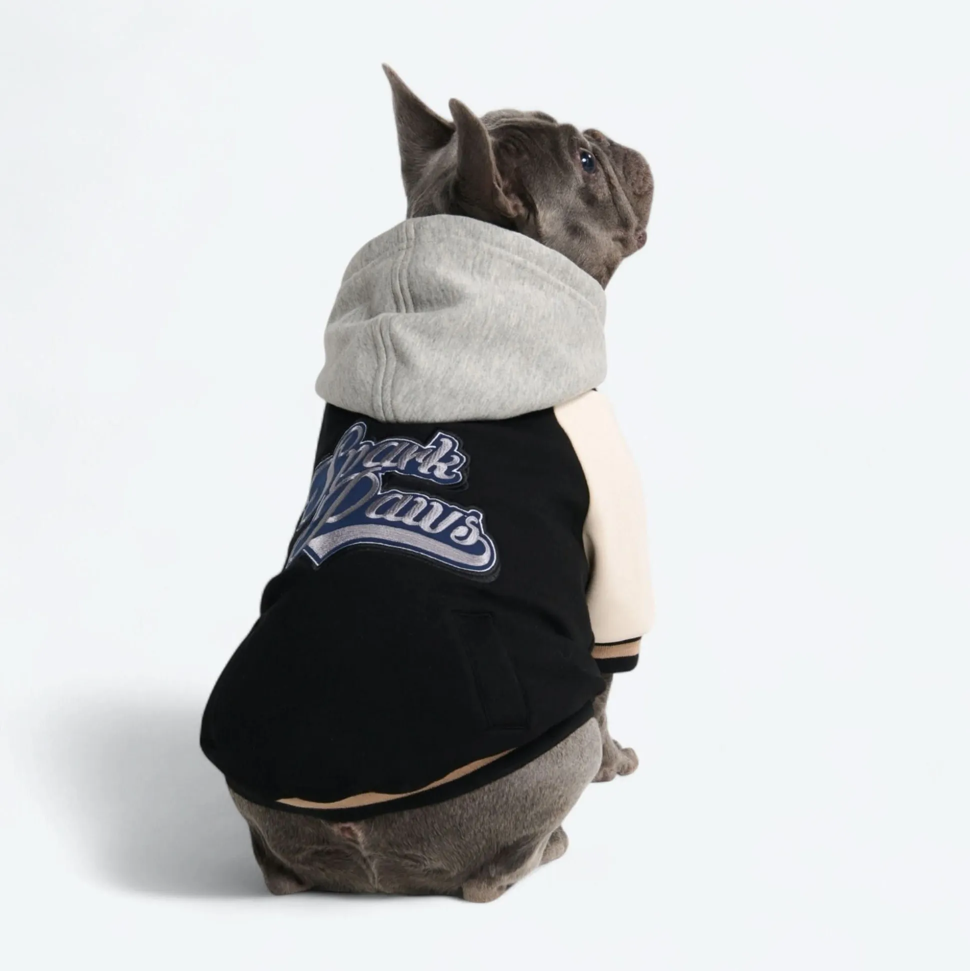 Dog Varsity Jacket - Black