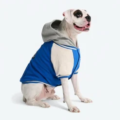 Dog Varsity Jacket - Blue