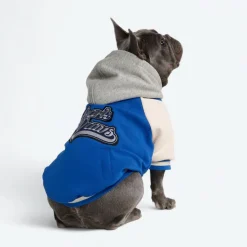 Dog Varsity Jacket - Blue