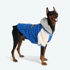 Dog Varsity Jacket - Blue