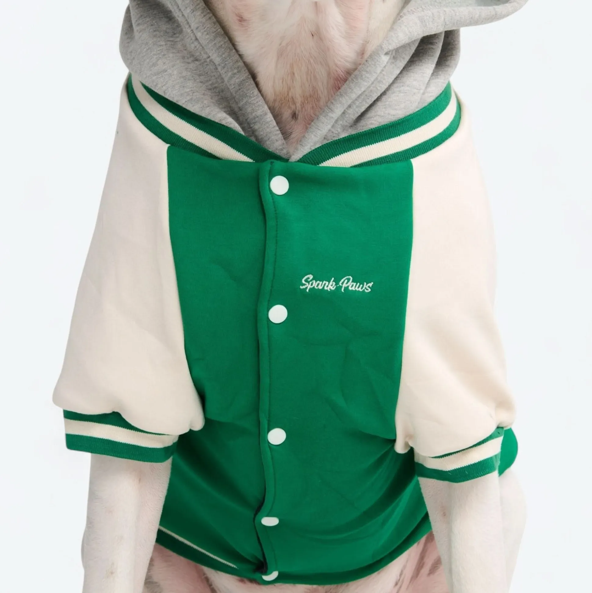 Dog Varsity Jacket - Green