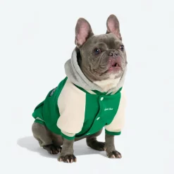 Dog Varsity Jacket - Green