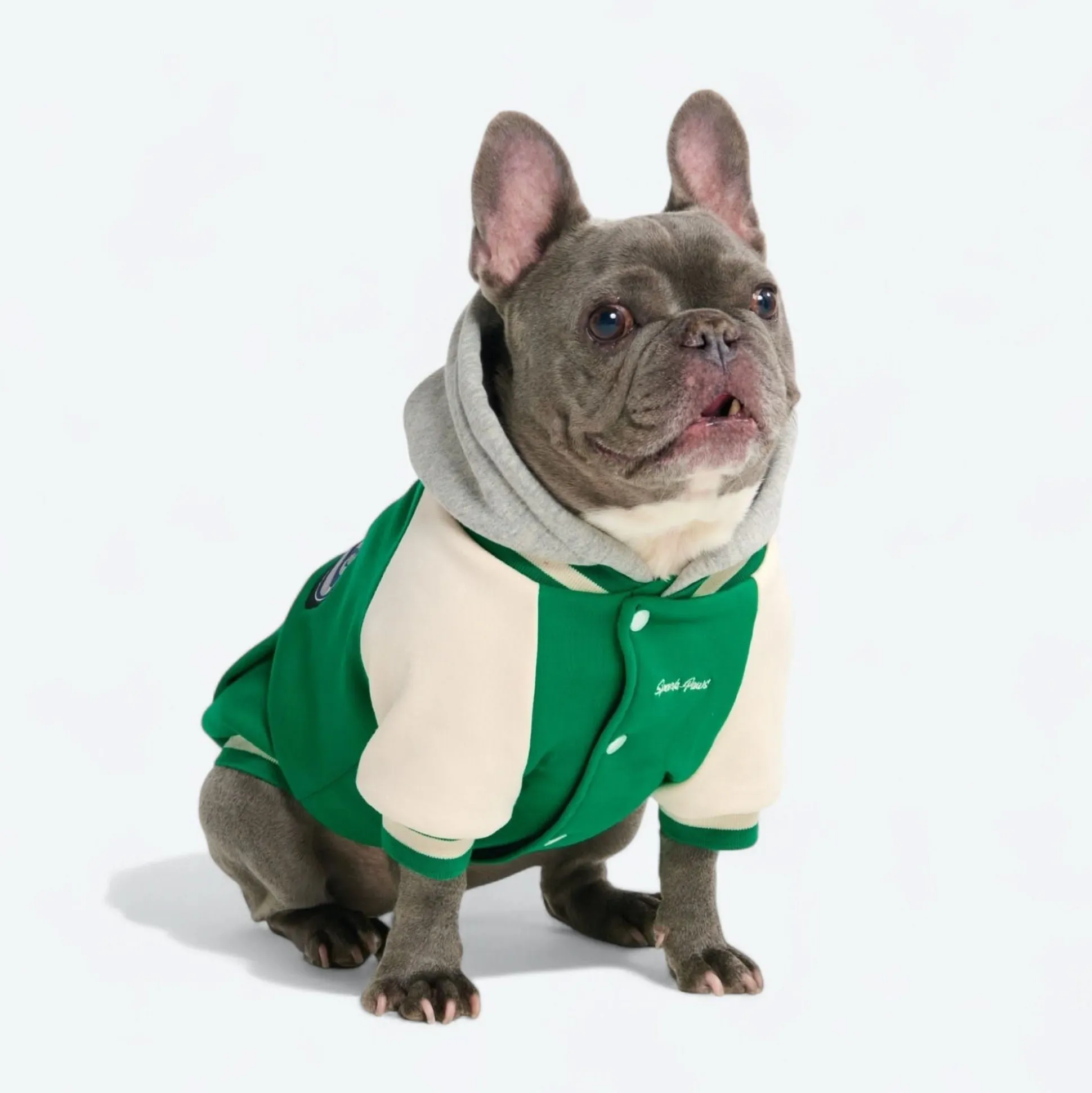 Dog Varsity Jacket - Green