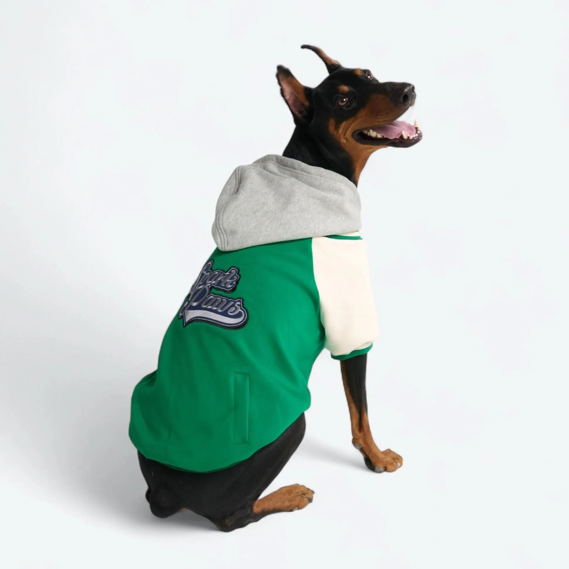 Dog Varsity Jacket - Green