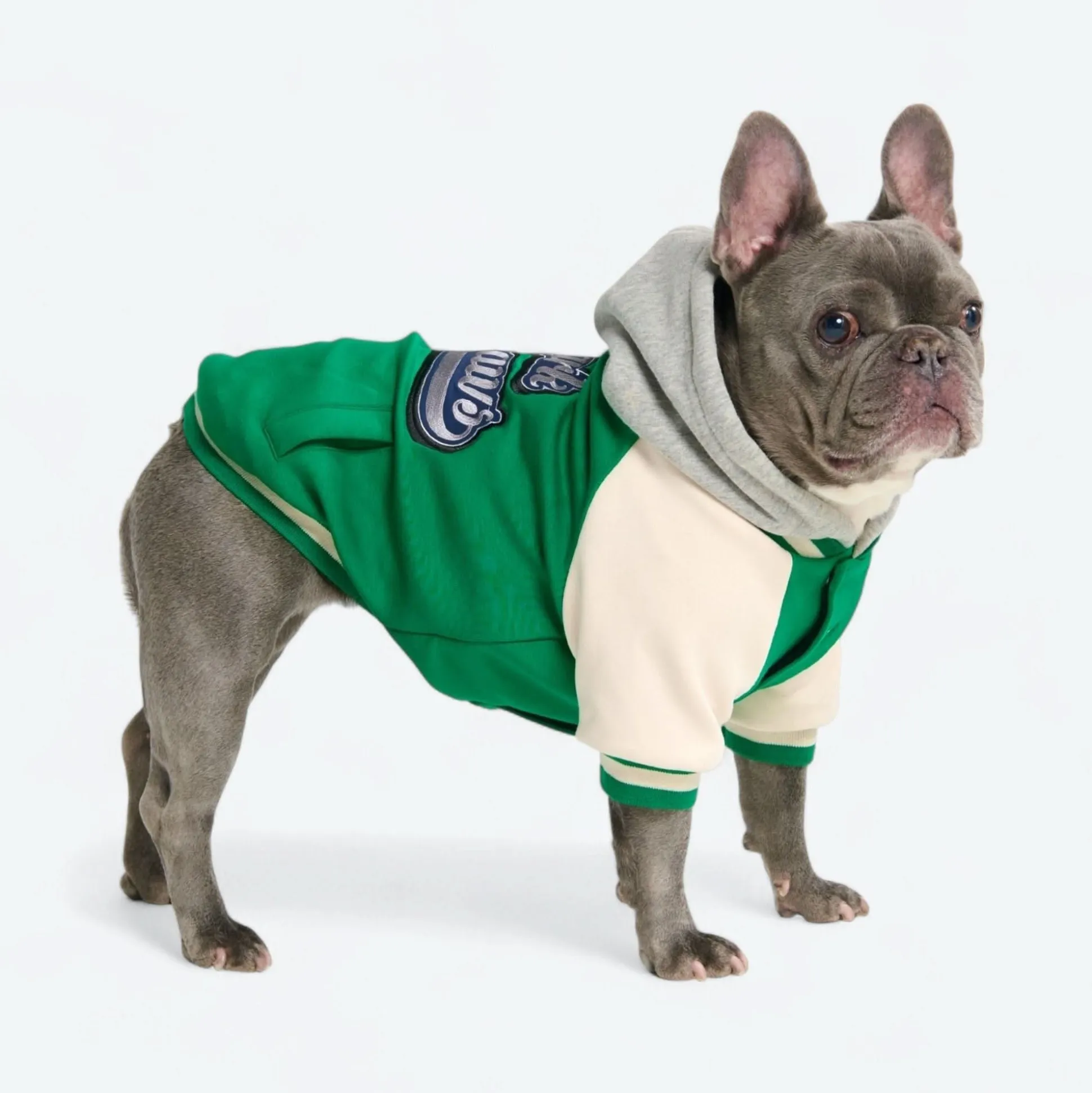 Dog Varsity Jacket - Green