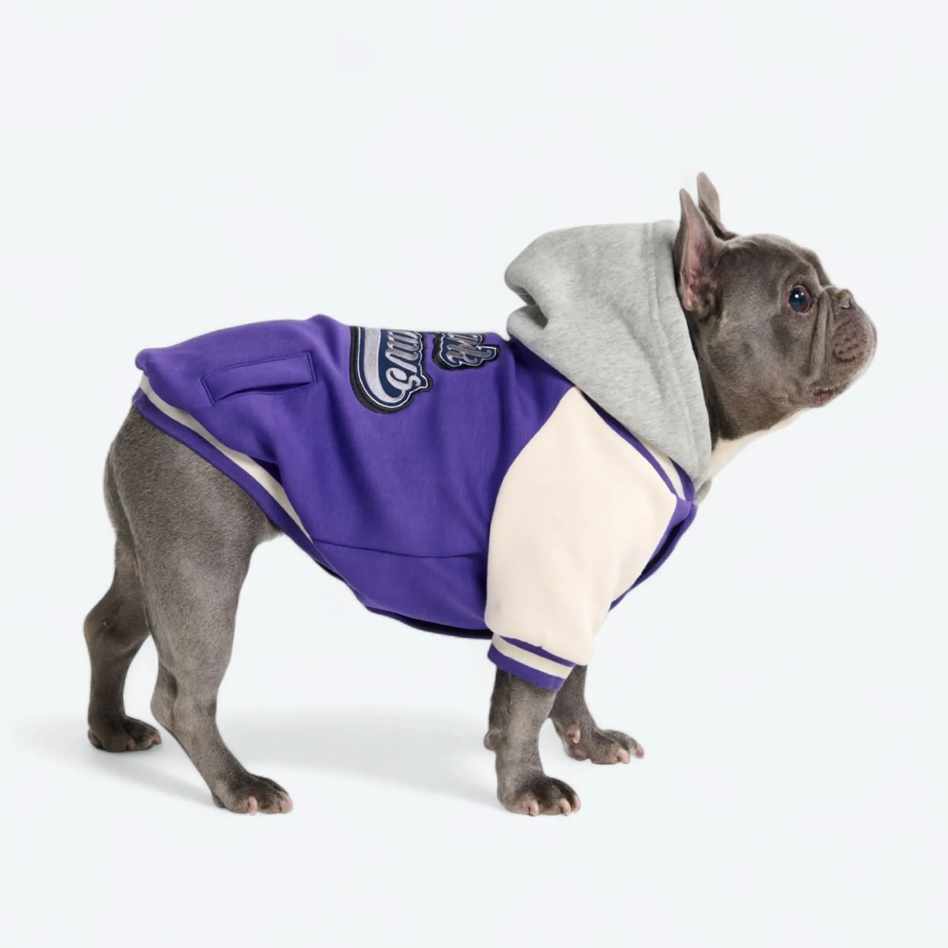 Dog Varsity Jacket - Purple