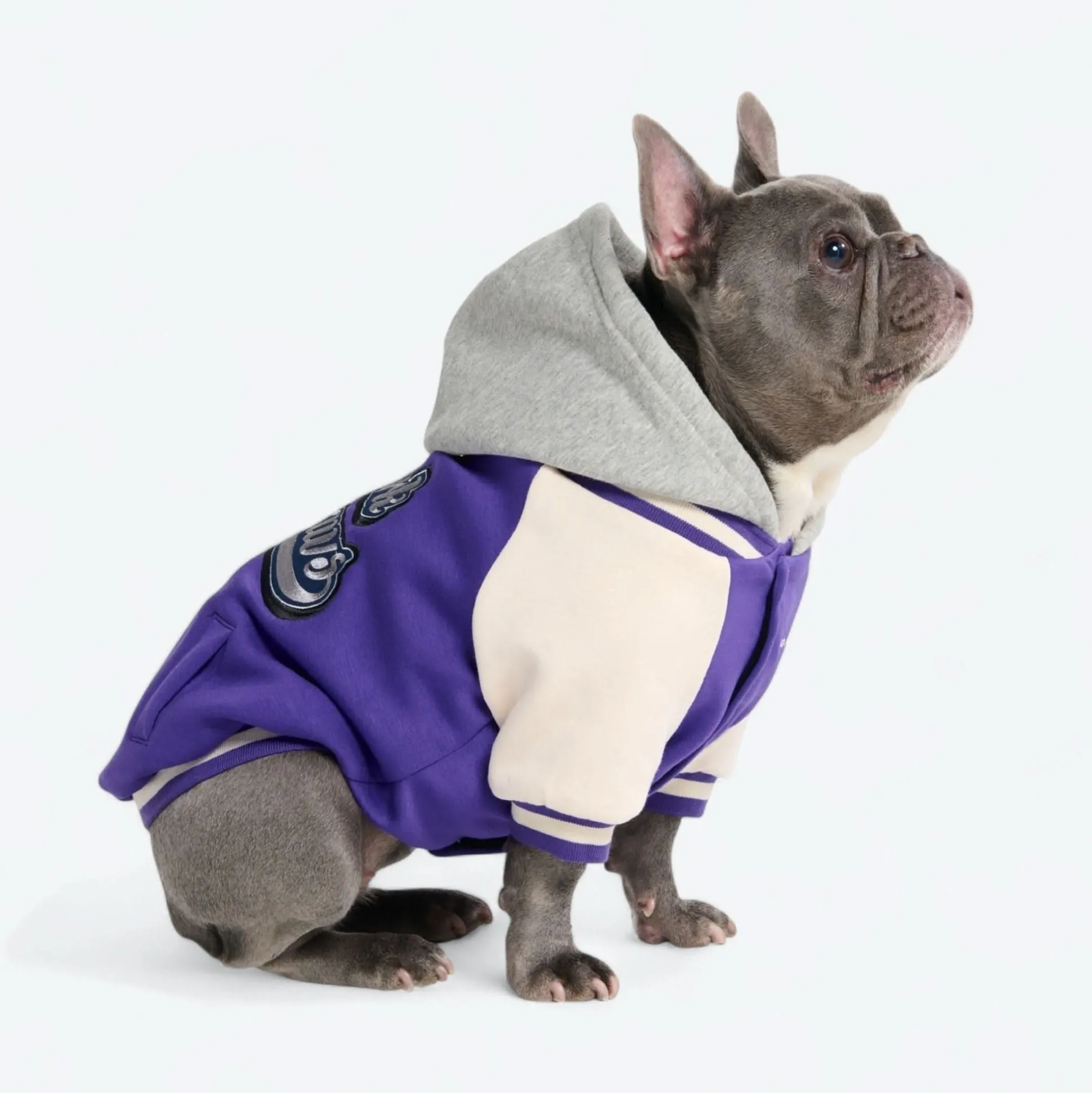Dog Varsity Jacket - Purple