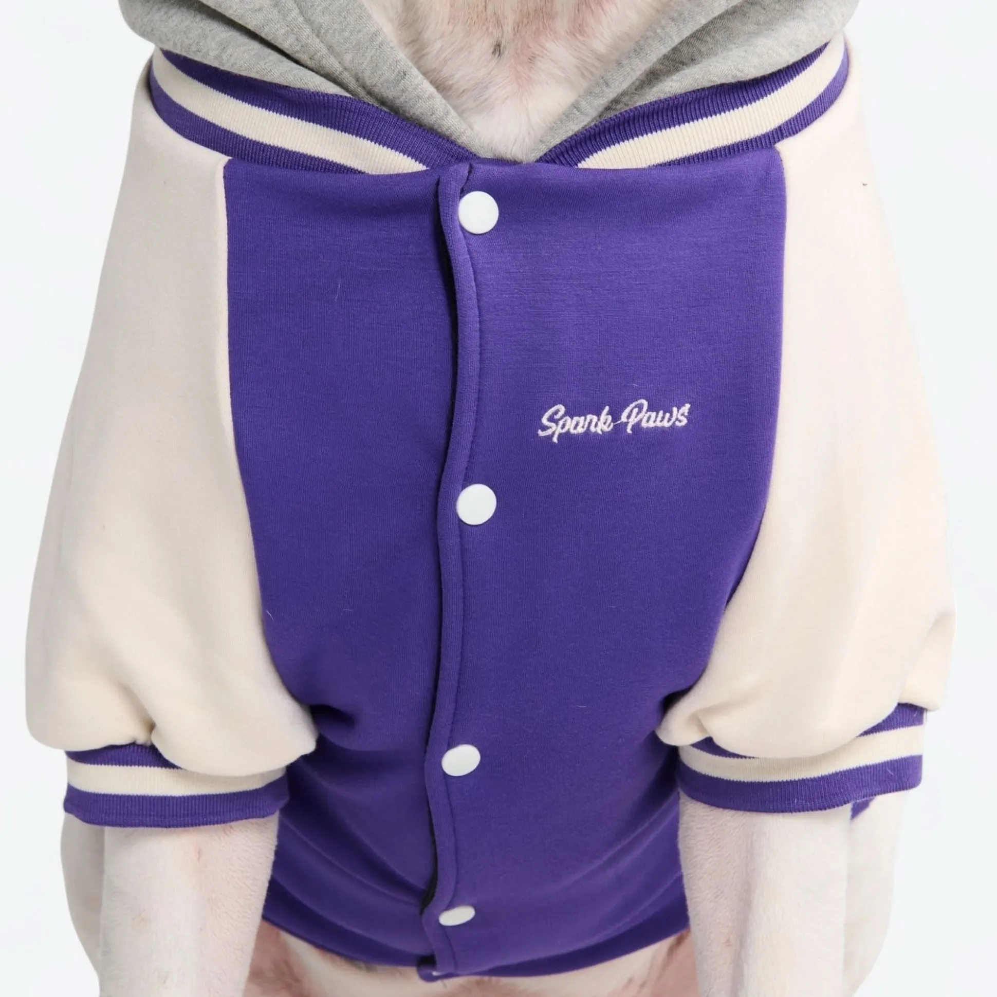 Dog Varsity Jacket - Purple