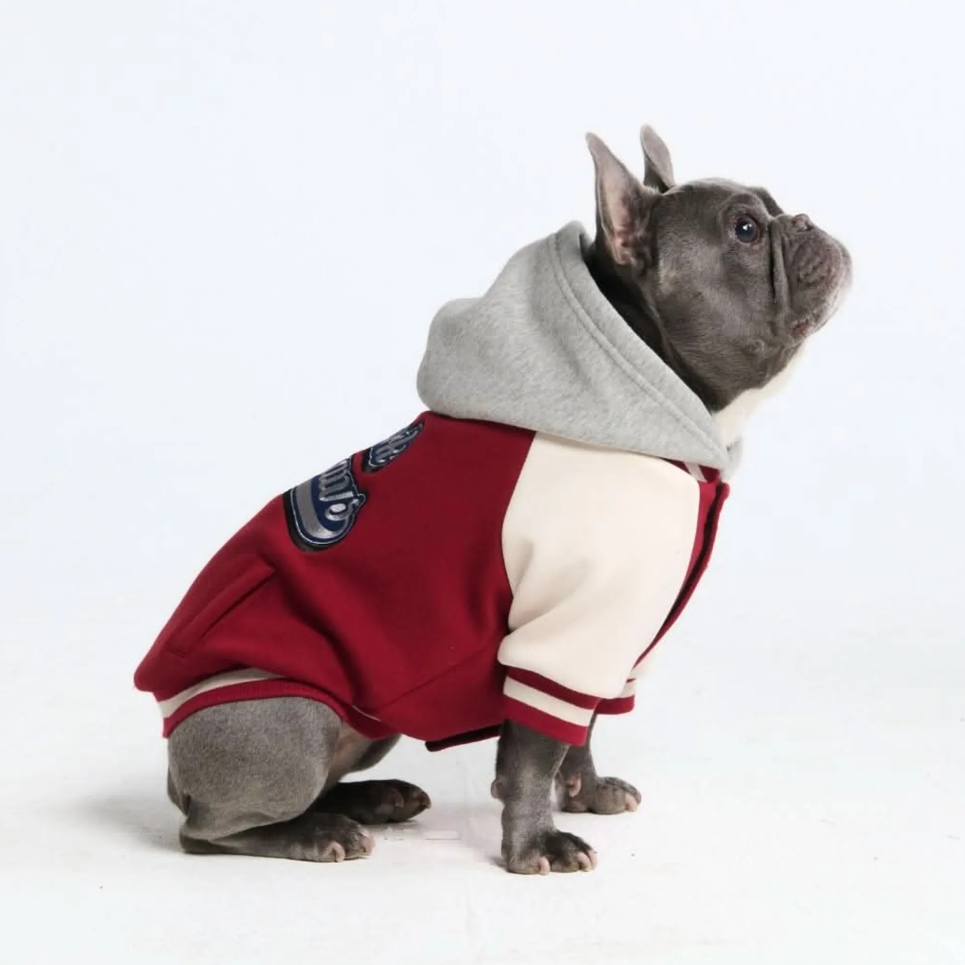 Dog Varsity Jacket - Red
