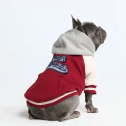 Dog Varsity Jacket - Red
