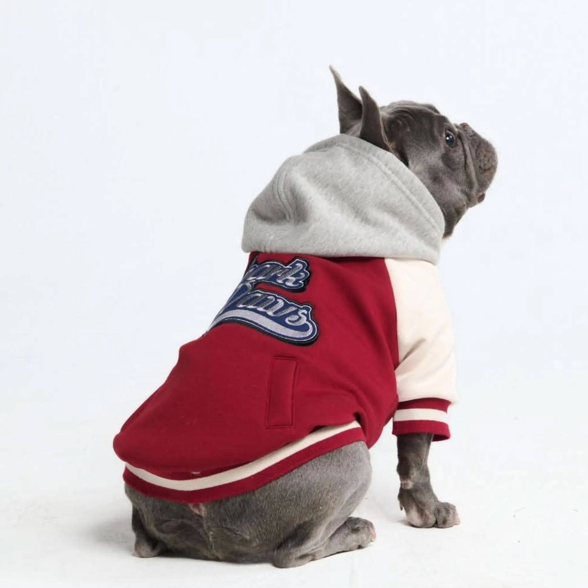 Dog Varsity Jacket - Red