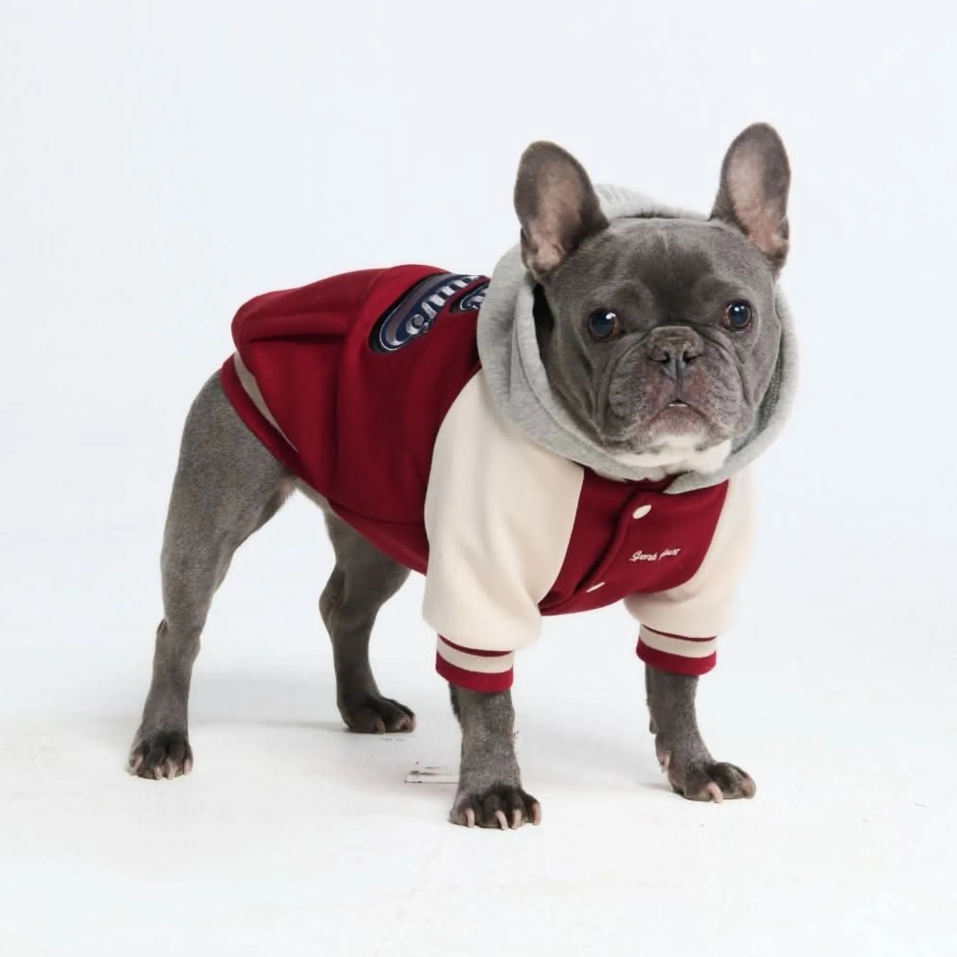 Dog Varsity Jacket - Red