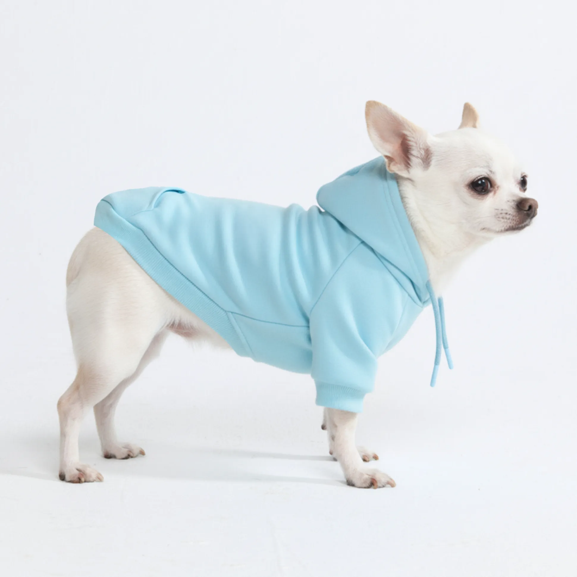 Essential Dog Hoodie - Baby Blue