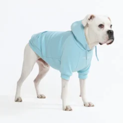 Essential Dog Hoodie - Baby Blue