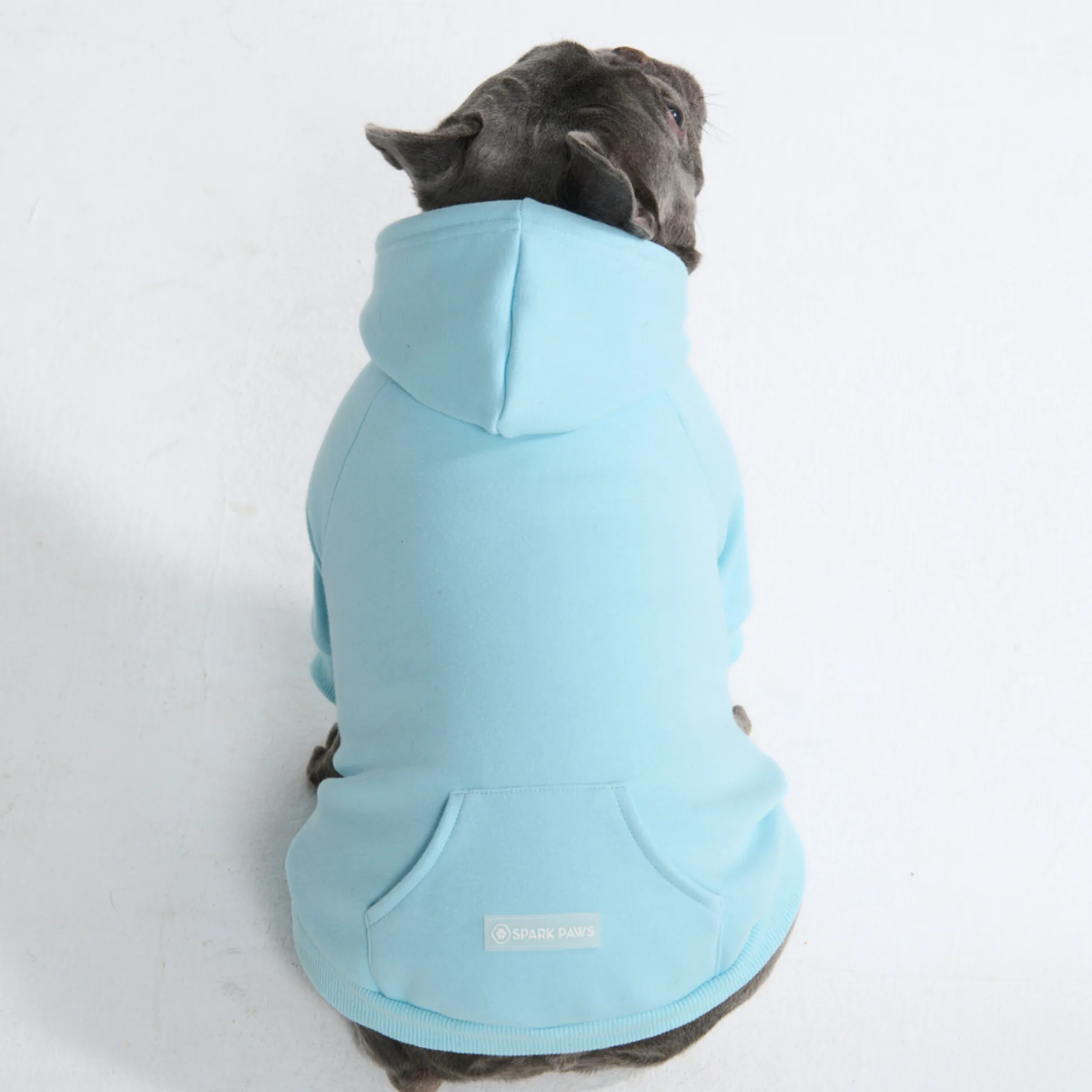 Essential Dog Hoodie - Baby Blue