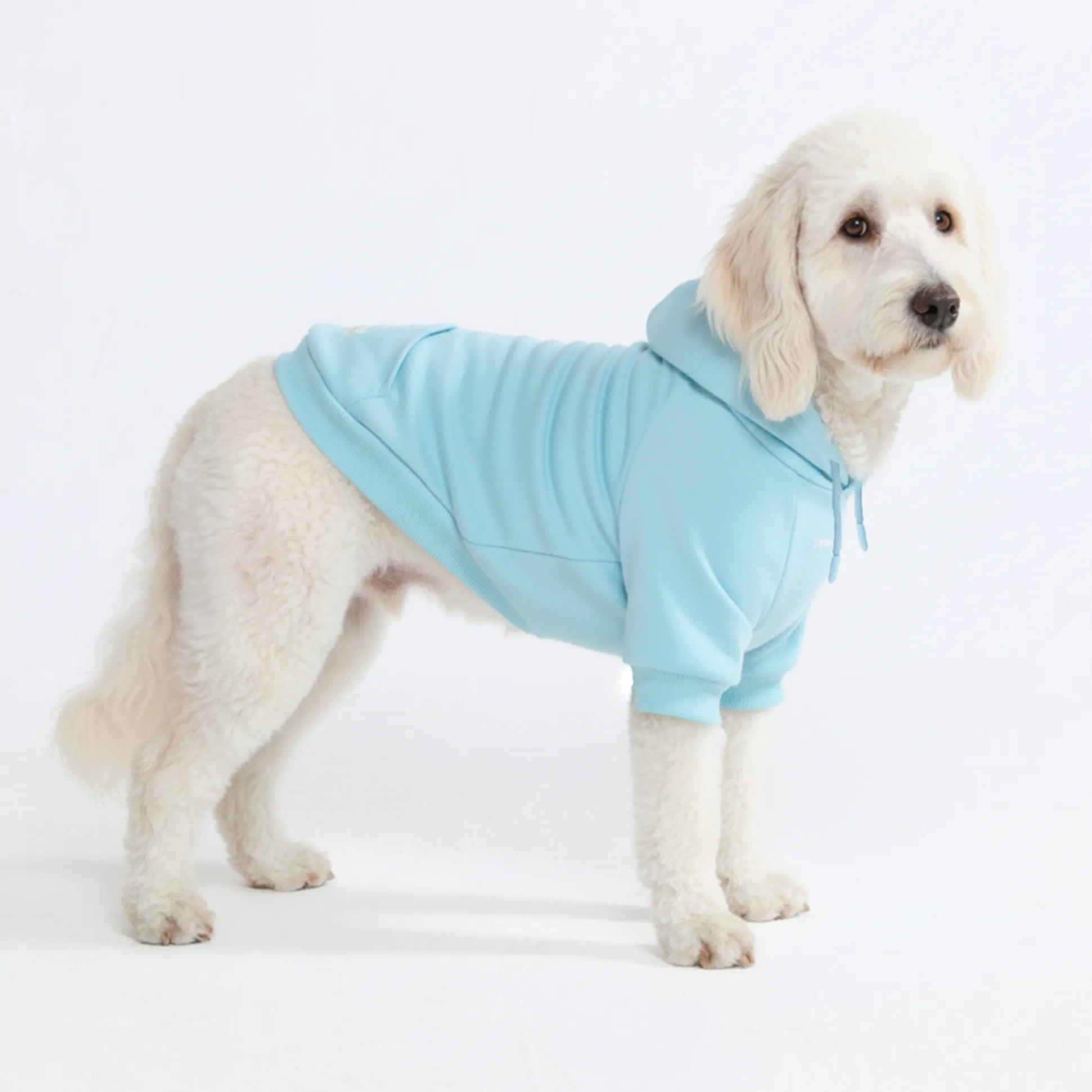 Essential Dog Hoodie - Baby Blue