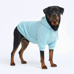 Essential Dog Hoodie - Baby Blue