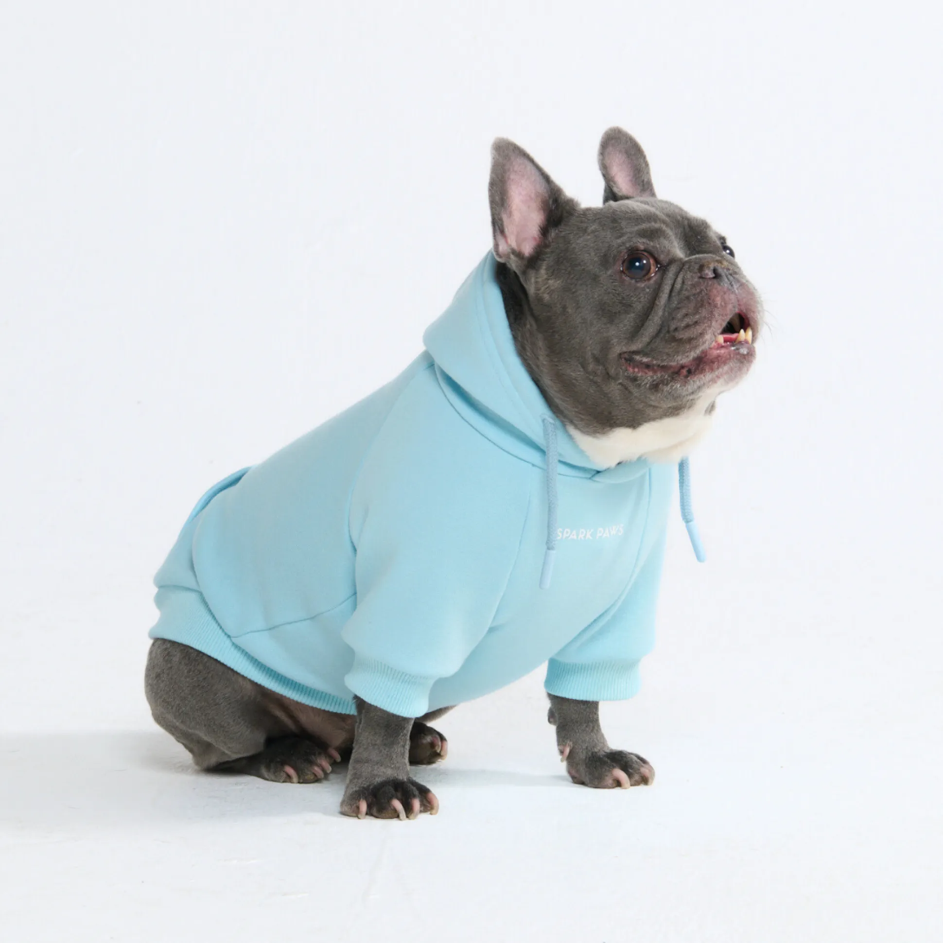 Essential Dog Hoodie - Baby Blue