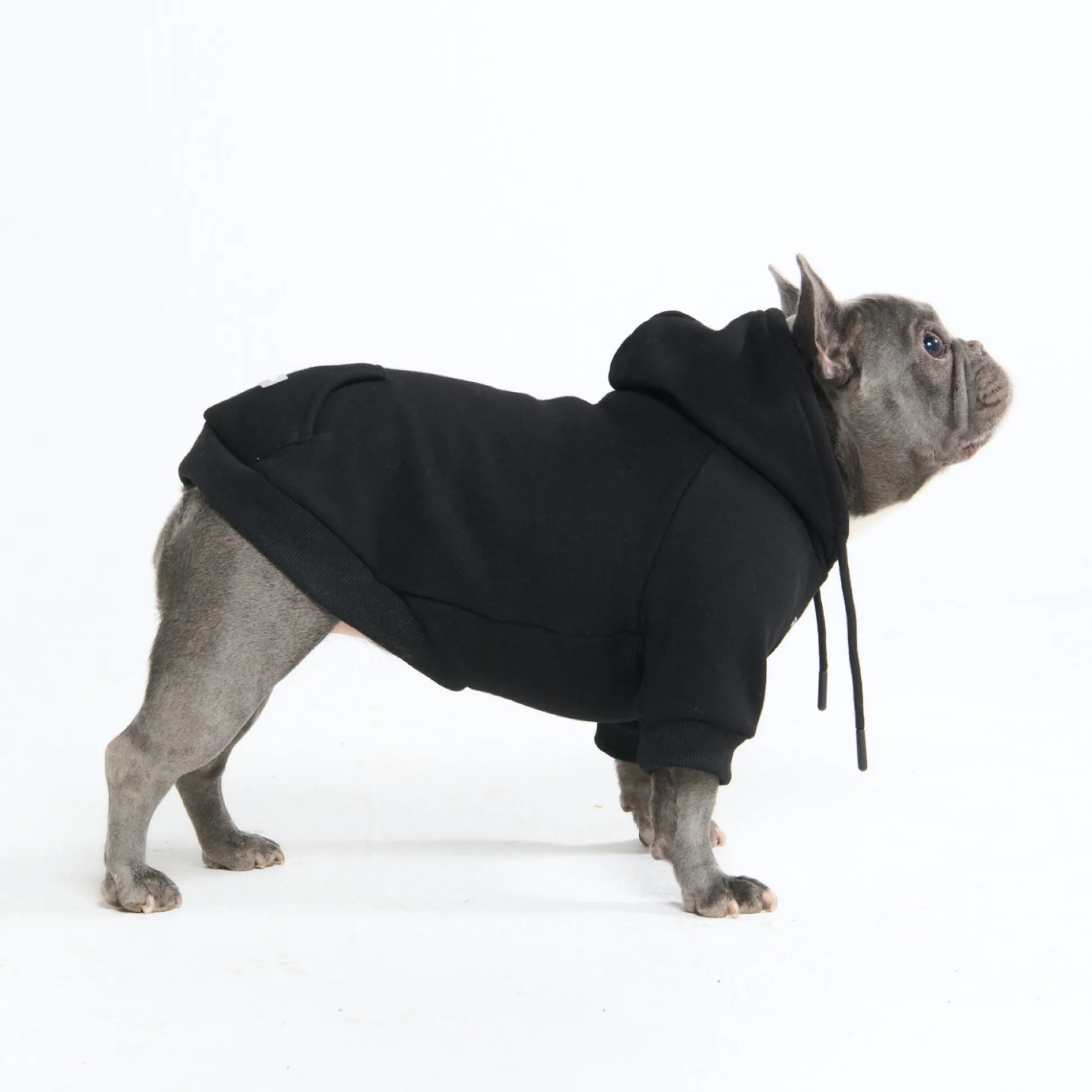 Essential Dog Hoodie - Black