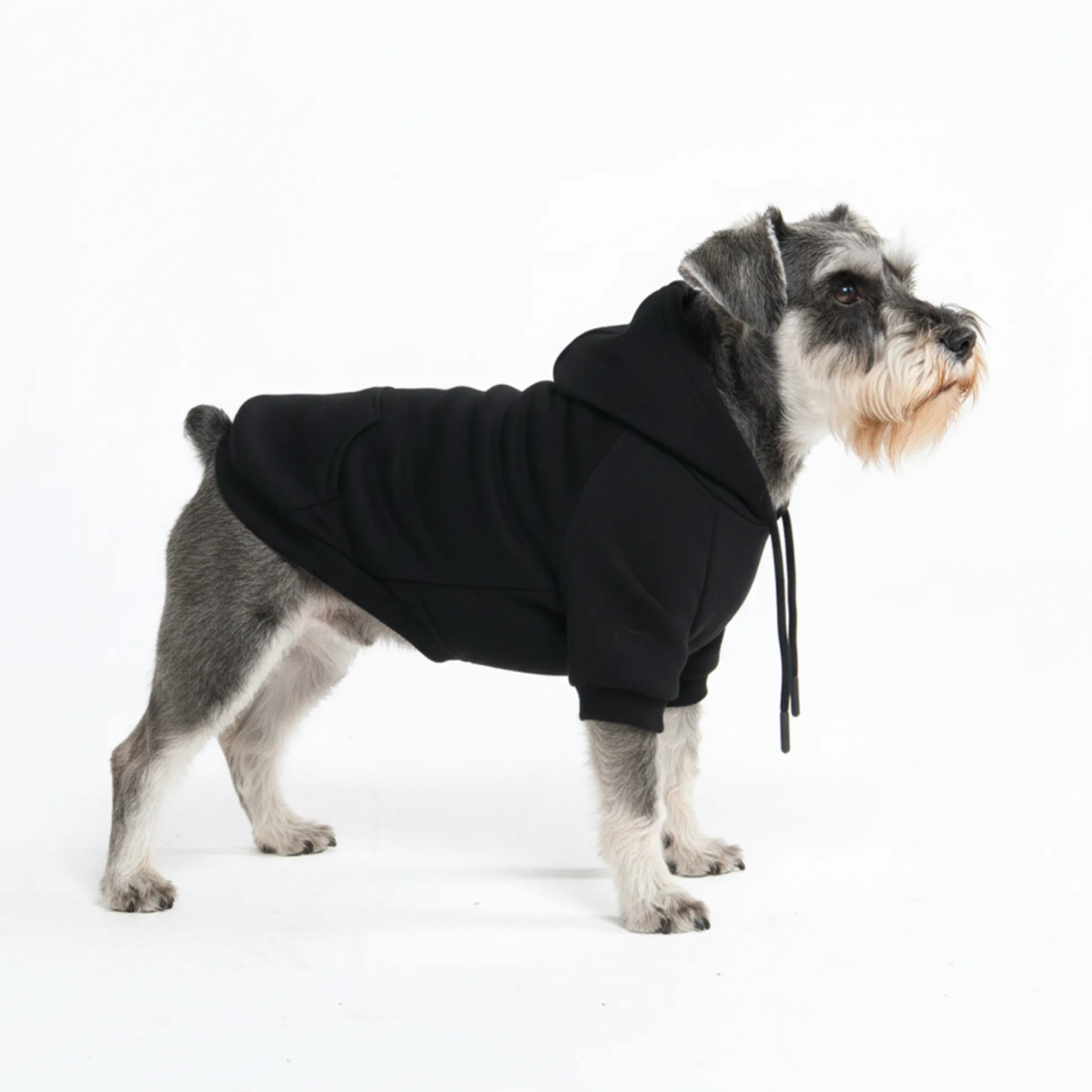 Essential Dog Hoodie - Black