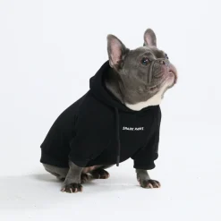 Essential Dog Hoodie - Black