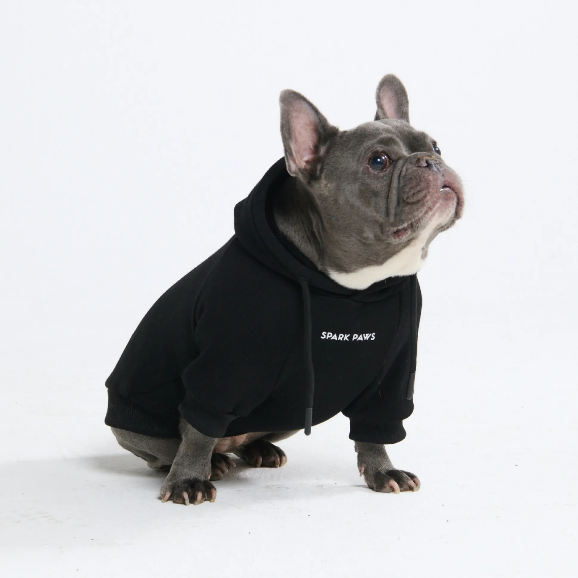 Essential Dog Hoodie - Black